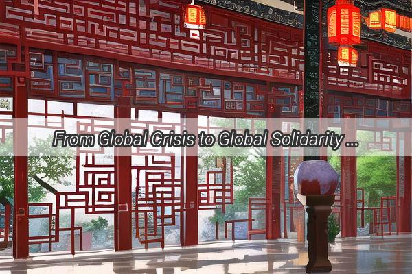 From Global Crisis to Global Solidarity Chinas Unwavering Support in the War Against COVID19